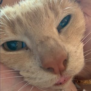 Meet your Posher, Eden